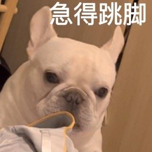 Ergdffdh435435